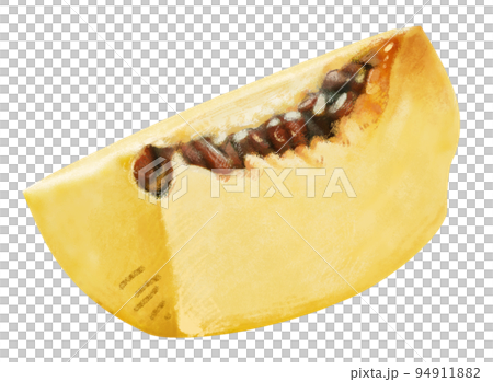 リアルなかりんのイラスト 手描き リアルなかりんのイラスト 手描き 94911882