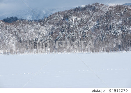 冬の凍結する夕張シューパロ湖 冬の凍結する夕張シューパロ湖 94912270