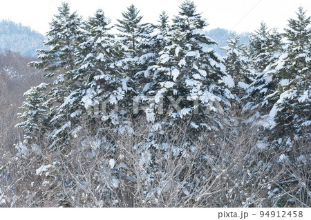 北海道夕張の冬景色 94912458