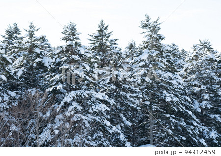北海道夕張の冬景色 94912459