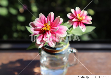 空瓶にジニアの花を飾る 94912729