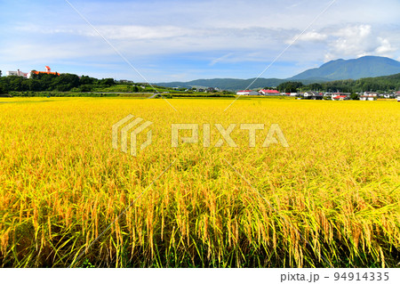 三水小学校周辺、飯縄山/飯綱山方面を望む(長野県飯綱町)【2022.9】 三水小学校周辺、飯縄山/飯綱山方面を望む(長野県飯綱町)【2022.9】 94914335