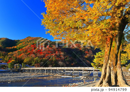 【京都府】紅葉の嵐山渡月橋 94914799