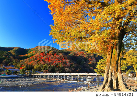 【京都府】紅葉の嵐山渡月橋 94914801