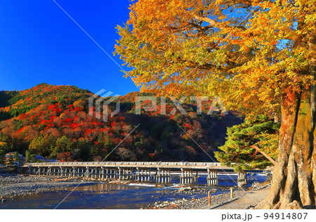 【京都府】紅葉の嵐山渡月橋 94914807