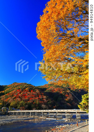 【京都府】紅葉の嵐山渡月橋 94914810