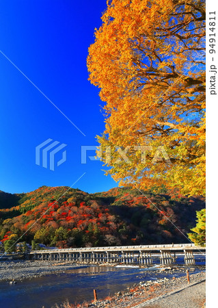 【京都府】紅葉の嵐山渡月橋 【京都府】紅葉の嵐山渡月橋 94914811