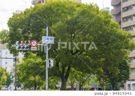 白髪橋 交差点 白髪橋 交差点 94915043
