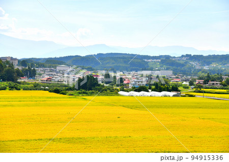 飯綱町普光寺周辺の風景(長野県飯綱町)【2022.9】 飯綱町普光寺周辺の風景(長野県飯綱町)【2022.9】 94915336