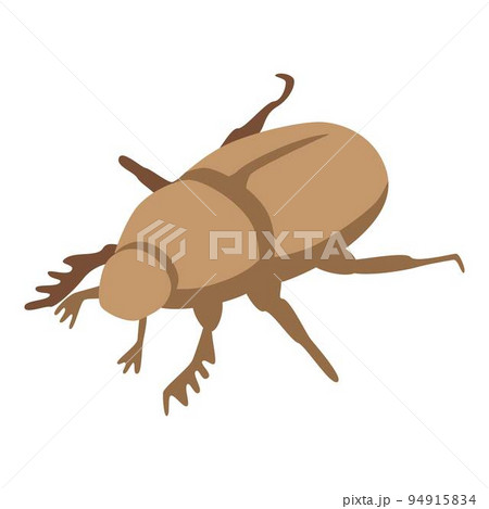 Brown scarab icon. Isometric of brown scarab vector icon for web design isolated on white background Brown scarab icon. Isometric of brown scarab vector icon for web design isolated on white background 94915834