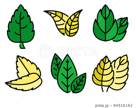 Mint icons set. Outline set of mint vector icons thin line color flat on white Mint icons set. Outline set of mint vector icons thin line color flat on white 94916162