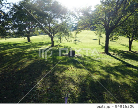 野草園　山形市 94916206