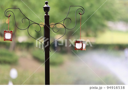 花びら 花 屋外 94916538