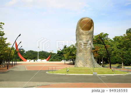 花びら 花 屋外 94916593