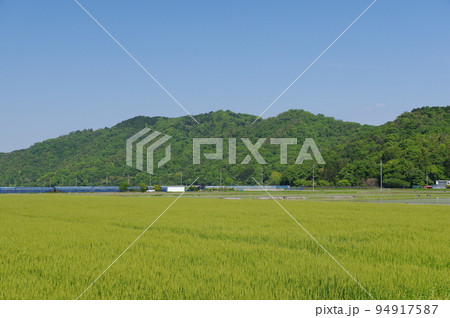 琵琶湖のほとりからの荒神山の眺め 琵琶湖のほとりからの荒神山の眺め 94917587