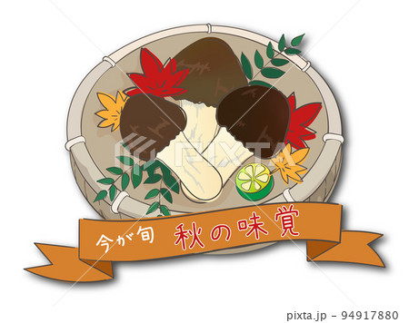 主線がある手描き感、秋の味覚、松茸のイラスト 94917880