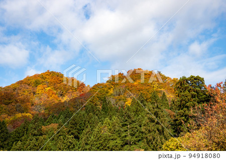 彩の秋の山　奥入瀬　 94918080