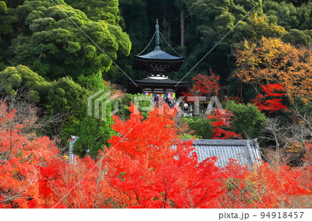 【京都府】永観堂の多宝塔と紅葉 【京都府】永観堂の多宝塔と紅葉 94918457