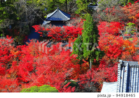 【京都府】永観堂の紅葉(多宝塔からの眺望) 【京都府】永観堂の紅葉(多宝塔からの眺望) 94918465