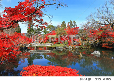 【京都府】永観堂の放生池の紅葉 【京都府】永観堂の放生池の紅葉 94918469