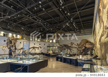 長崎市恐竜博物館【長崎県長崎市野母町】 長崎市恐竜博物館【長崎県長崎市野母町】 94918663