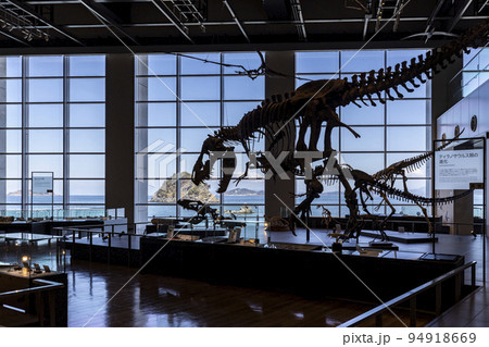 長崎市恐竜博物館【長崎県長崎市野母町】 94918669