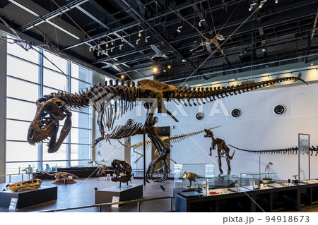 長崎市恐竜博物館【長崎県長崎市野母町】 94918673