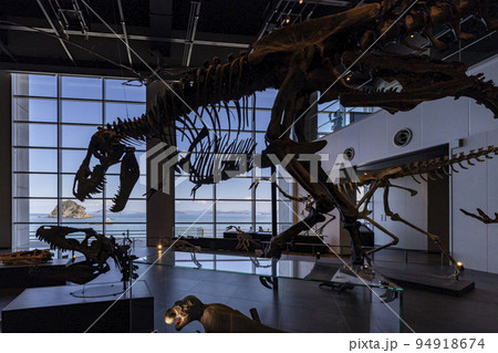 長崎市恐竜博物館【長崎県長崎市野母町】 94918674