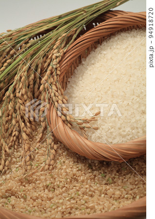 玄米と新米 玄米と新米 94918720