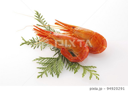 白い背景の北海しまえび 白い背景の北海しまえび 94920291