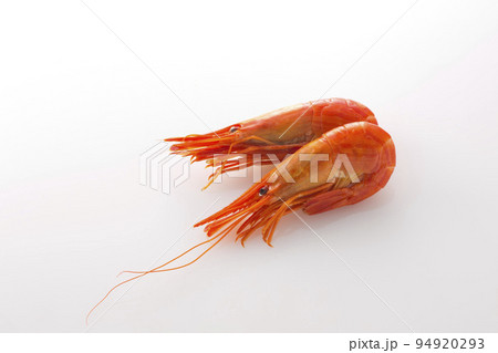 白い背景の北海しまえび 白い背景の北海しまえび 94920293