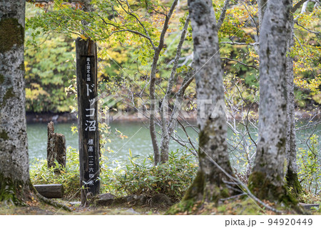秋のドッコ沼 紅葉の風景 山形県山形市 秋のドッコ沼 紅葉の風景 山形県山形市 94920449