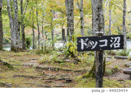 秋のドッコ沼　紅葉の風景　山形県山形市　　 94920454