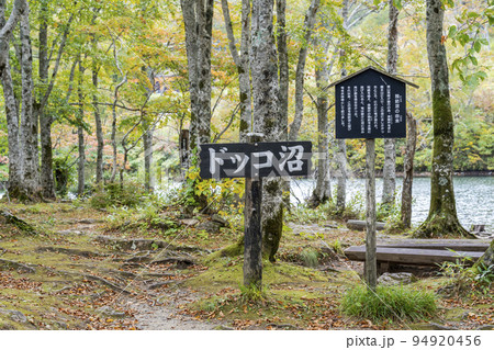 秋のドッコ沼 紅葉の風景 山形県山形市   秋のドッコ沼 紅葉の風景 山形県山形市   94920456