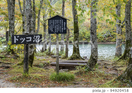 秋のドッコ沼　紅葉の風景　山形県山形市　　 94920458