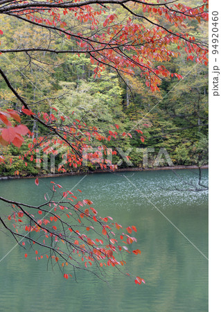 秋のドッコ沼　紅葉の風景　山形県山形市　　 94920460