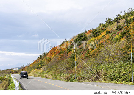 秋の蔵王エコーライン 紅葉の風景 宮城県七ヶ宿町 秋の蔵王エコーライン 紅葉の風景 宮城県七ヶ宿町 94920663