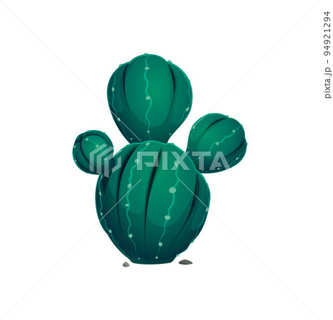 Mexican cactus, cartoon botanical herb with spikes and stone rocks isolated. Vector exotic marginata succulent, cactus agave neglecta wild century plant pelmeri americana with rounded leave 94921294