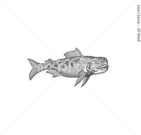 Fangtooth fish isolated monochrome sketch icon....のイラスト素材 [94921493 ...