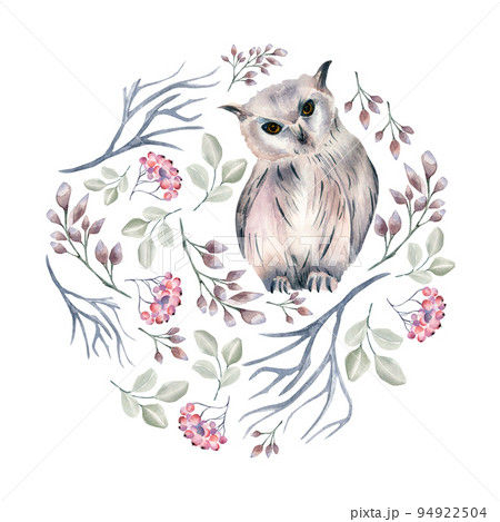 Circle frame of winter plants and owl watercolor illustration isolated on white. 94922504