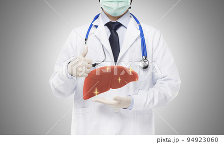 doctor holding healthy liver , liver concept doctor holding healthy liver , liver concept 94923060