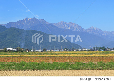 山麓から望む秋の北アルプス後立山連峰 山麓から望む秋の北アルプス後立山連峰 94923701