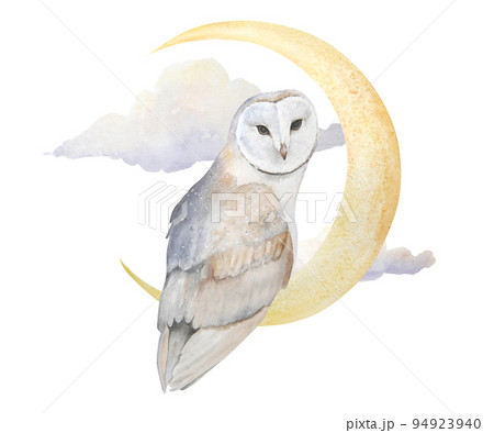 Watercolor illustration of owl with moon and clouds isolated 94923940