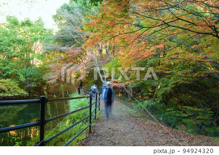 大分県臼杵 秋の風景白馬渓 大分県臼杵 秋の風景白馬渓 94924320