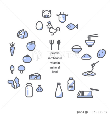 食べ物と栄養素　アイコン風イラストセット　シンプルでお洒落な線画イラスト 94925025