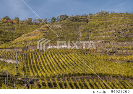 Famous German Wine Region Moselle River Lay and Guels village Autumn Fall colors 94925269