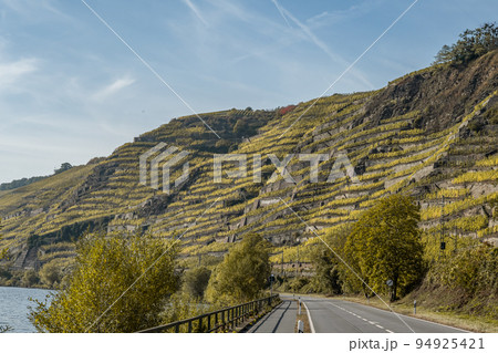 Famous German Wine Region Moselle River Lay and Guels village Autumn Fall colors 94925421