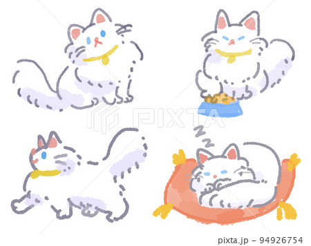 長毛白猫ちゃん 94926754