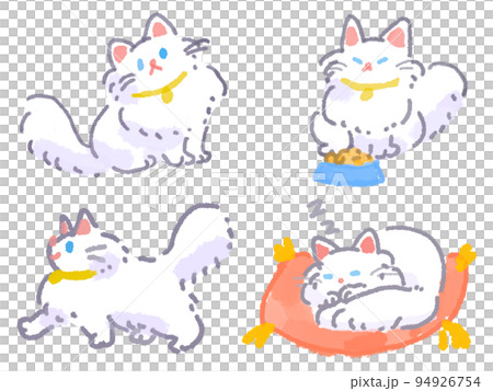 長毛白猫ちゃん 94926754