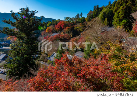 秋の奈良県・長谷寺で見た、赤やオレンジの色鮮やかな紅葉と快晴の青空 94927672